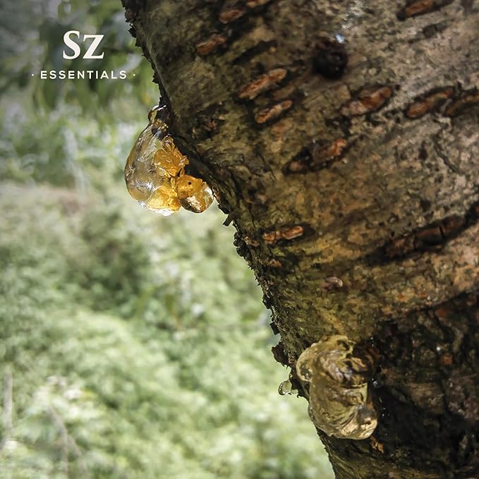 Elemi Essential Oil (Canarium Luzonicum) - 100% Pure and Undiluted - Fresh, Citrusy & Spicy Scent with Subtle Balsamic and Peppery Undertones - Therapeutic Grade & Vegan -0.17 oz (5ml)-VivaGrace Women