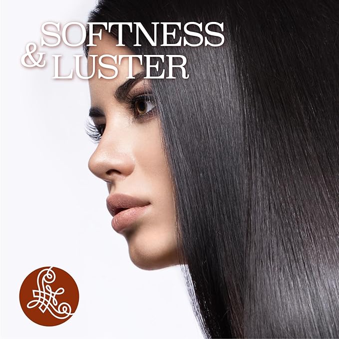 Luseta Argan Oil Shampoo and Conditioner Set Thickening for Thin & Dry Hair Smoothing & Nourishing Anti- Frizz for All Hair Types Sulfate Free for Men and Women 2 x16.9Fl Oz-VivaGrace Women