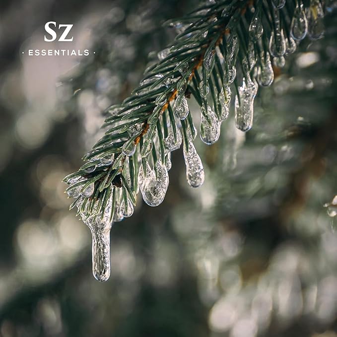 Silver Pine Essential Oil - 100% Pure & Undiluted- Extracted from Pinus Sylvestris - Clean & Fresh Scent with Woody Overtones - Therapeutic Grade & Vegan - 0.17oz (5ml)-VivaGrace Women