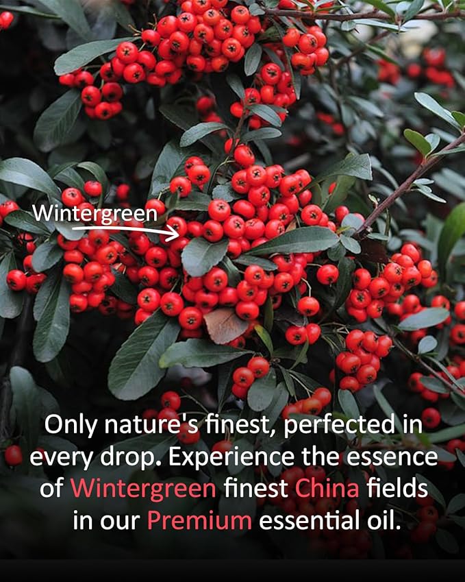 Pure Wintergreen Essential Oil, 100% Pure Natural Wintergreen Essential Oil, Premium Grade Essential Oils for Diffusers for Home, Skin, Care Massage, Soap Make, Aromatherapy, 4 Fl Oz | 120ml-VivaGrace Women