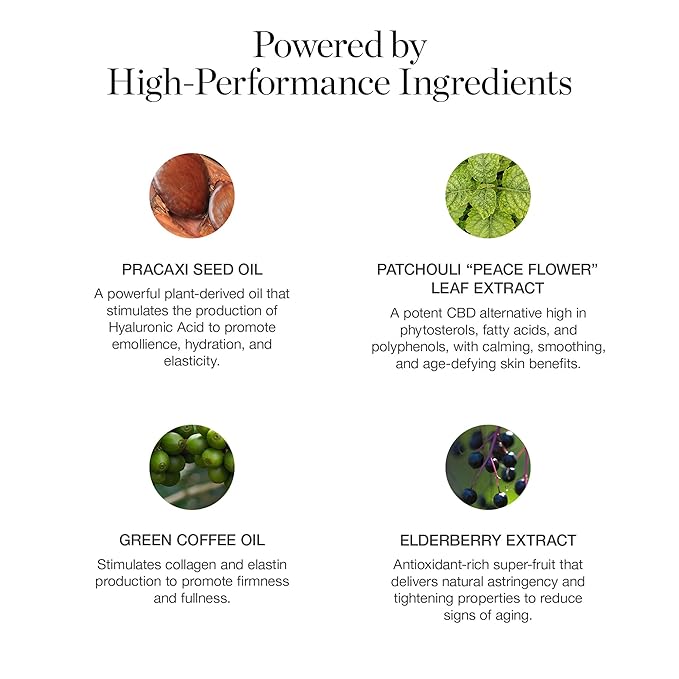 Ogee Sculpted Complexion Foundation Stick (Linden 1.25N Light Beige, Neutral Undertones) Full Coverage Foundation Makeup - Instantly Balance & Even Complexion - 70% Organic Ingredients-VivaGrace Women