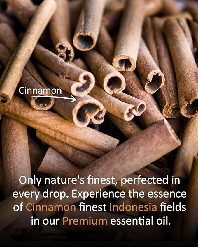 Pure Cinnamon Essential Oil, 100% Pure Natural Cinnamon Essential Oil, Premium Grade Essential Oils for Diffusers for Home, Skin, Care Massage, Soap Making, Aromatherapy, 4 Fl Oz | 120ml-VivaGrace Women