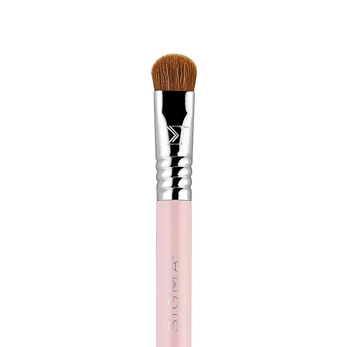 Sigma Beauty Travel Essential Trio - Makeup Brush Set for Foundation Powder Eyeshadow - 3 Tool Brushes with Brush Tin Holder - - Skin Safe, Vegan Makeup Brushes for Travel - Light Pink-VivaGrace Women