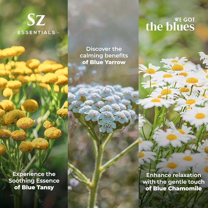 – “We Got The Blues” Essential Oils Set – Blue Tansy, Yarrow & German Chamomile – 3 x 6.5ml Bottles – 100% Pure, Natural, Undiluted – Therapeutic Grade & Vegan-VivaGrace Women