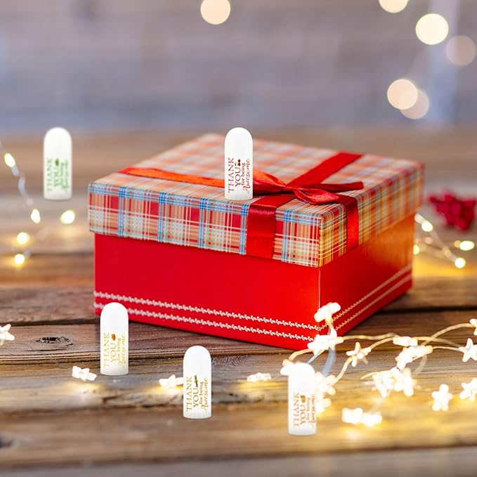 25 Pcs Mini Lip Balm Bulk 5 Assorted Flavors Thank You Lip Balm Employee Appreciation Gifts Dry Chapped Lip Care Products for Adults Coworkers Women Friend Wedding Bridal Shower Baby Shower-VivaGrace Women