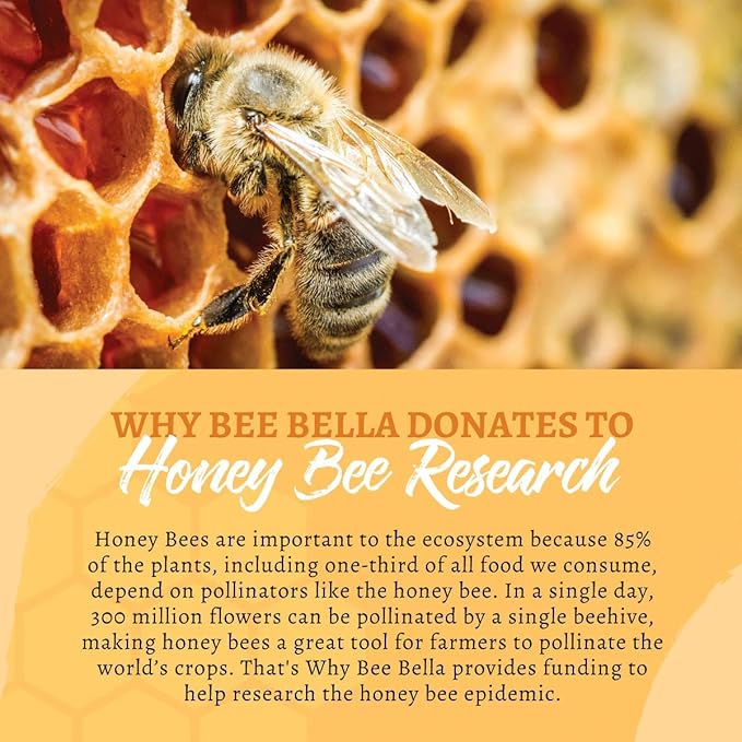 Bee Bella Lip Balm, Peppermint, 3 Pack - Hydrating, Moisturizing Lip Care, 100% Natural, Original Organic Beeswax with Vitamin E, Handmade in USA-VivaGrace Women