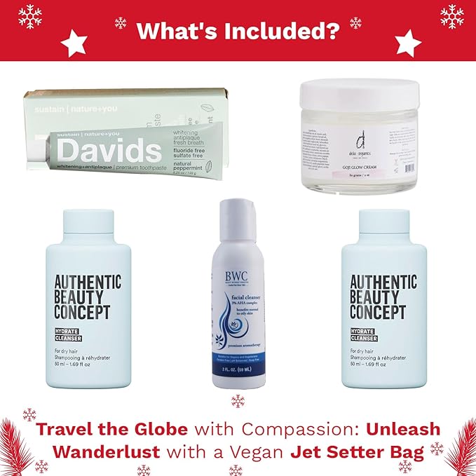 Jet Setter's Selfcare Essentials - Vegan Beauty Set Gift for Women - On-the-Go Skincare And Vacation Beauty Essentials - Compact Travel Size Beauty Products Gift Set - Great Christmas Gift for Her-VivaGrace Women