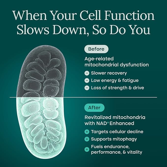 Liposomal NAD+ Supplement 500mg with Urolithin A, CoQ10, Resveratrol & Giloy (Made in USA) Mitochondrial, Cellular Energy, Cognitive, Anti-Aging & Detox Support - 3rd Party Tested Vegan, Non-GMO-VivaGrace Women