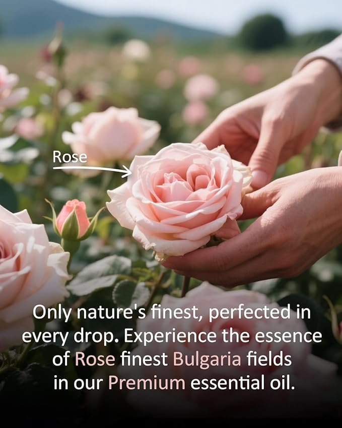 Pure Rose Essential Oil, 100% Pure Natural Rose Essential Oil, Premium Grade Essential Oils for Diffusers for Home, Skin, Care Massage, Soap Making, Aromatherapy, 4 Fl Oz | 120ml-VivaGrace Women