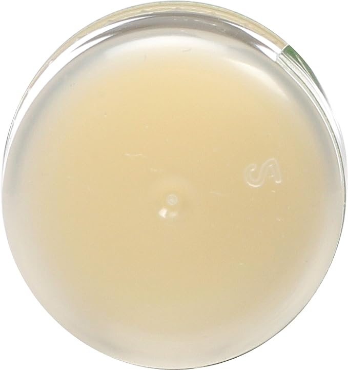 Eco Lips Organic Mongo Kiss Peppermint Lip Balm, USDA Certified Organic, 0.25 Ounce (Pack of 15)-VivaGrace Women