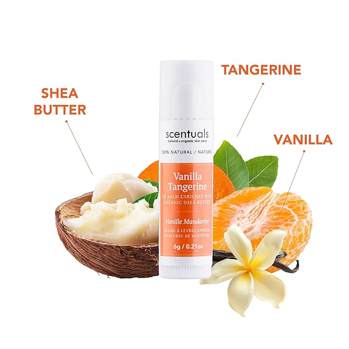 Lip Balm Vanilla Tangerine Set of 3, Made with Shea Butter, Cocoa Butter, Avocado & Jojoba oil, Beeswax, Vitamin E and Essential oil, Moisturizing Lip Care, Cruelty Free Hydration, Natural (3 Pack)-VivaGrace Women