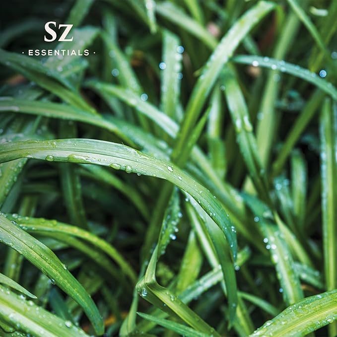 – Ginger Grass Essential Oil – 100% Pure & Undiluted (Cymbopogon martinii VAR. Sofia)– Fresh Citrusy Earthy Aroma – Aromatherapy, Perfumery, Skin Care – Therapeutic Grade - 1/6 oz. 5 mL-VivaGrace Women