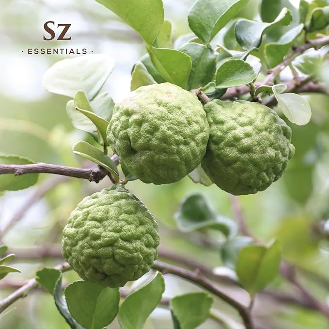 Kaffir Lime Leaf Essential Oil -100% Pure and Undiluted - Extracted from Citrus Hystrix Leaves - Earthy & Citrusy Scent with Fruity Overtones - Therapeutic Grade & Vegan - 0.17oz (5ml)-VivaGrace Women