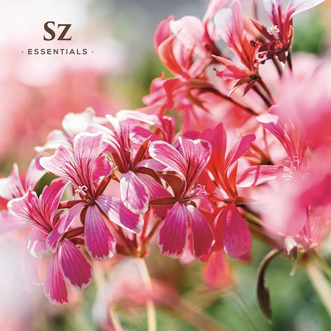 High Altitude Geranium Essential Oil – 100% Pure & Natural, Grown in The High-Altitude – Aromatherapy, Home Use – Therapeutic Grade & Vegan – 5 mL-VivaGrace Women