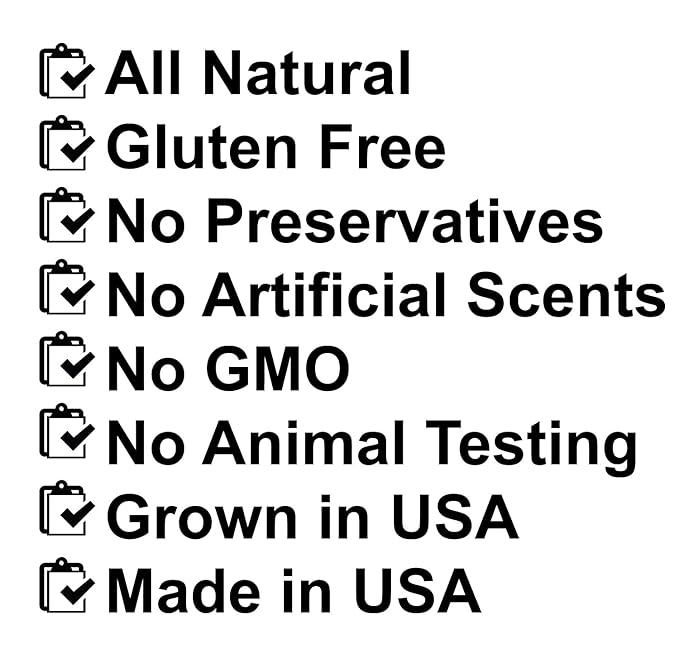 USDA Organic Unscented Lip Balm 2 Pack - Over 70% Pure Organic Jojoba Oil and Organic Beeswax, Soothes and Softens Dry, Cracked, and Sensitive Lips, No Added Scent, No added Taste 15 oz/4.6 gm-VivaGrace Women