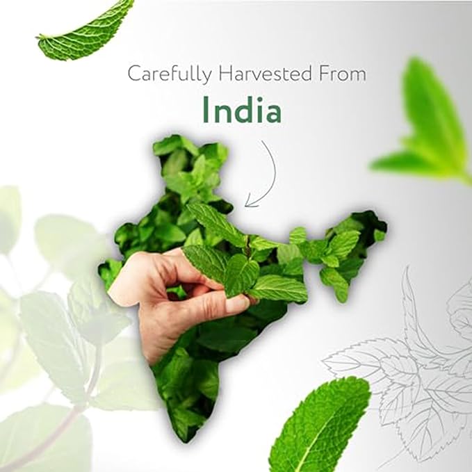 HBNO Spearmint Essential Oil - Huge 4 oz (120ml) Value Size - Natural Spearmint Oil - Perfect for Cleaning, Aromatherapy, DIY, Soap & Diffuser -VivaGrace Women