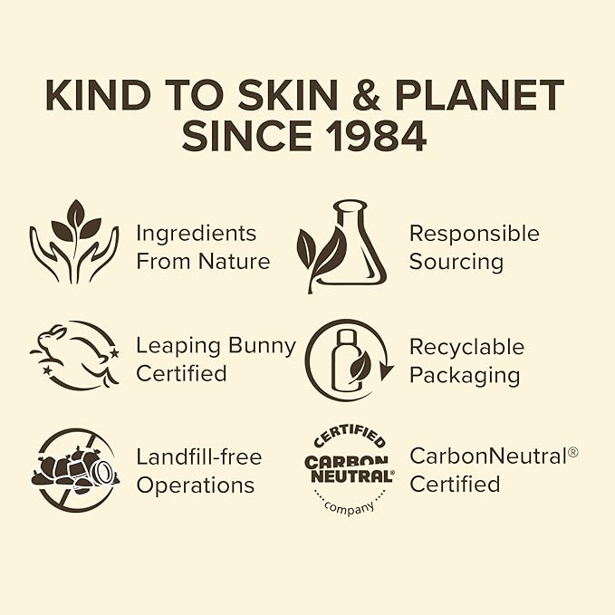 Burt's Bees Chai Tea Lip Balm Blister, 0.15 Ounce-VivaGrace Women