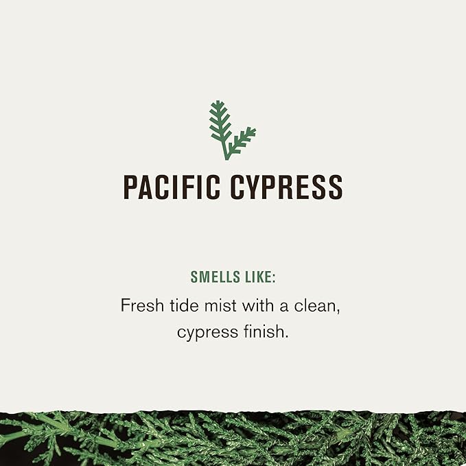 Every Man Jack Nourishing Pacific Cypress Mens Body Wash for All Skin Types - Naturally Derived Ingredients - Cleanse and Hydrate Skin with Coconut and Glycerin - 24oz 2 Bottles-VivaGrace Women