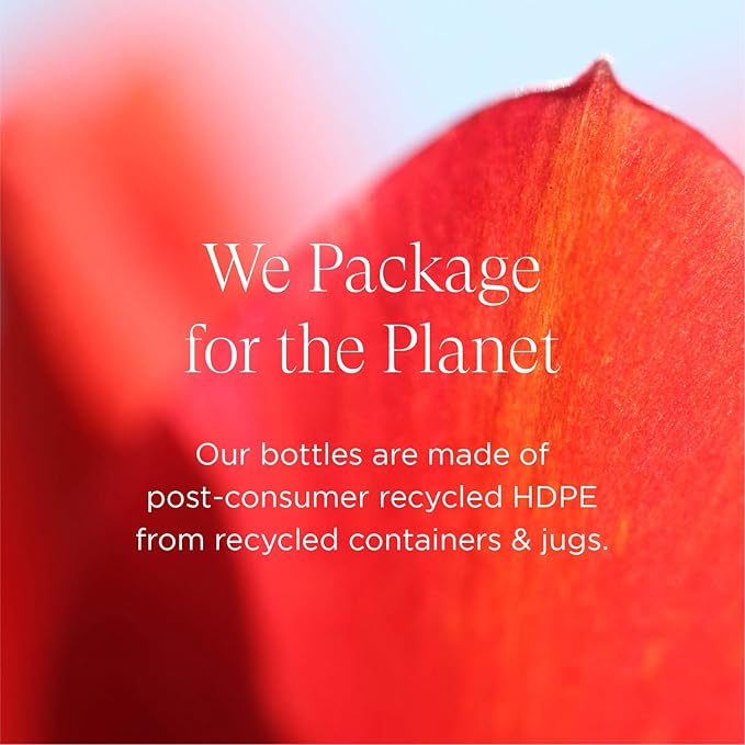 Intelligent Nutrients OneBody Hand Balm & Lip Delivery Nutrition Holiday Set - Help Soothe Dry Hands, Cuticles & Lips (2-Piece Set)-VivaGrace Women