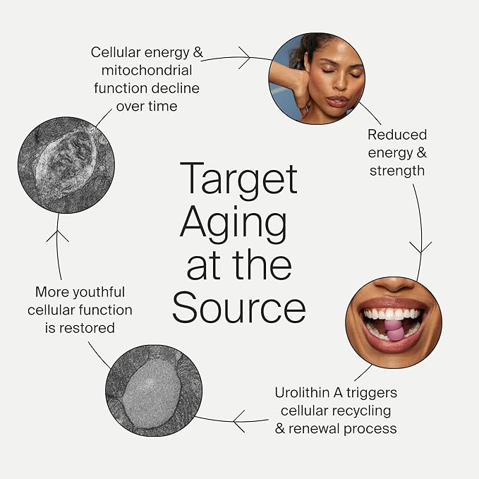 Timeline Mitopure Urolithin A Supplement Gummies - Clinically Proven Support for Healthy Aging and Cellular Renewal - Mitoceutical for Muscle Strength and Longevity-VivaGrace Women