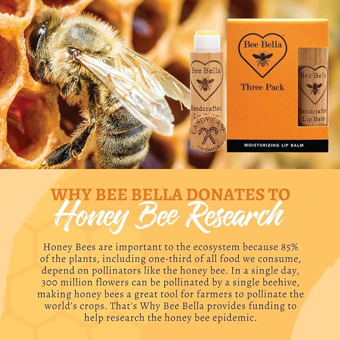 Bee Bella Lip Balm, Candy Cane, 3 Pack - Hydrating, Moisturizing Lip Care, 100% Natural, Original Organic Beeswax with Vitamin E, Handmade in USA-VivaGrace Women