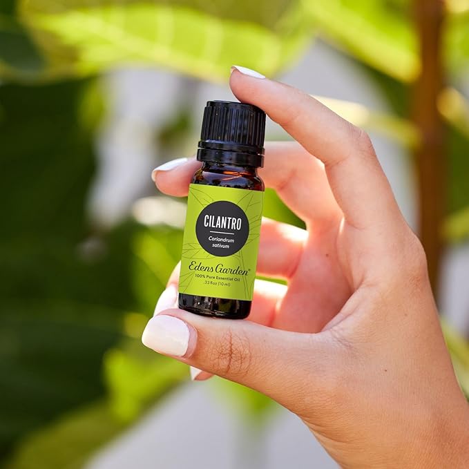 Edens Garden Cilantro Essential Oil- 100% Pure Premium Grade, Undiluted, Natural, Therapeutic, Aromatherapy, The Best for Diffuser, Candle, Laundry, Kid Safe 30 ml (1 fl oz)-VivaGrace Women