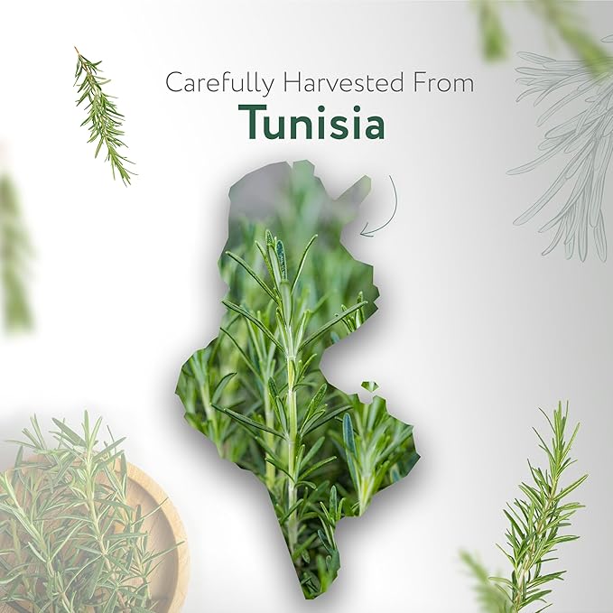 HBNO California Bottled Organic Rosemary Essential Oil 1 fl oz (30ml) - USDA Certified Organic Rosemary Essential Oil for Aromatherapy, Soap Making, DIY, Fragrances, Diffuser-VivaGrace Women