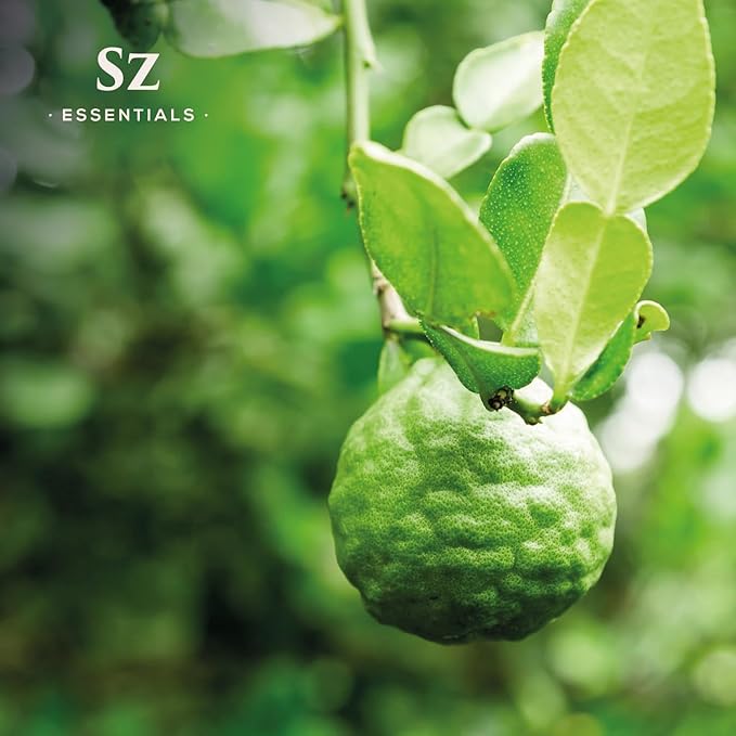 Kaffir Lime Leaf Essential Oil -100% Pure and Undiluted - Extracted from Citrus Hystrix Leaves - Earthy & Citrusy Scent with Fruity Overtones - Therapeutic Grade & Vegan - 0.17oz (5ml)-VivaGrace Women