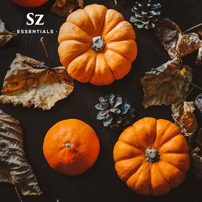 Pumpkin Spice Essential Oil Blend for Diffuser and Humidifier - 100% Pure and Natural - Rich Pumpkin Spice Scent, with Fruity and Spicy Overtones - Vegan - 0.17 floz (5 mL)-VivaGrace Women