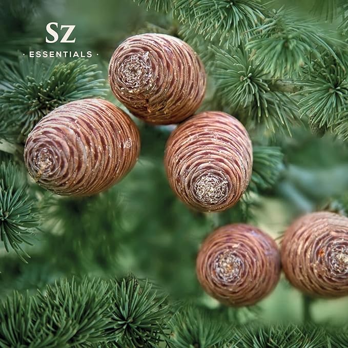 Cedarwood Essential Oil (Cedrus Atlantica) – Therapeutic Grade, 100% Pure & Natural with Soothing Woodsy Aroma for Relaxation, Aromatherapy, Skin Care & Diffuser - 0.17 fl oz. (5ml)-VivaGrace Women