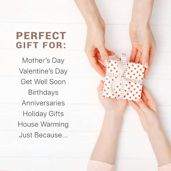 Organic Lip Scrub Vanilla - Lip Scrubs Exfoliator & Moisturizer, Lip Exfoliator Scrub, Sugar Lip Scrubs, Lip Sugar Scrub, Lip Care Products for Chapped Lips, Lip Scrubber, Lip Moisturizer for Dry Lips-VivaGrace Women