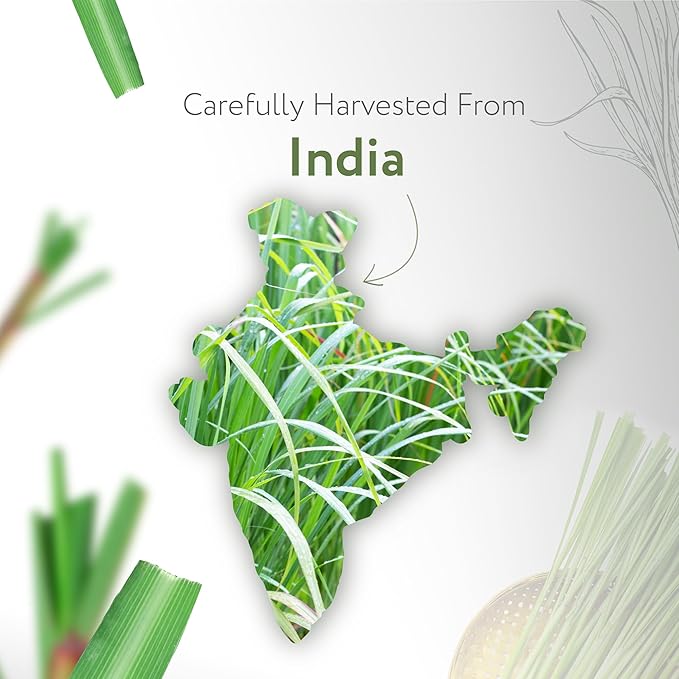 HBNO California Bottled Lemongrass Essential Oil 4 fl oz (120ml) - Natural Lemongrass Oil, Perfect for Cleaning, Aromatherapy, DIY, Soap & Diffuser -VivaGrace Women