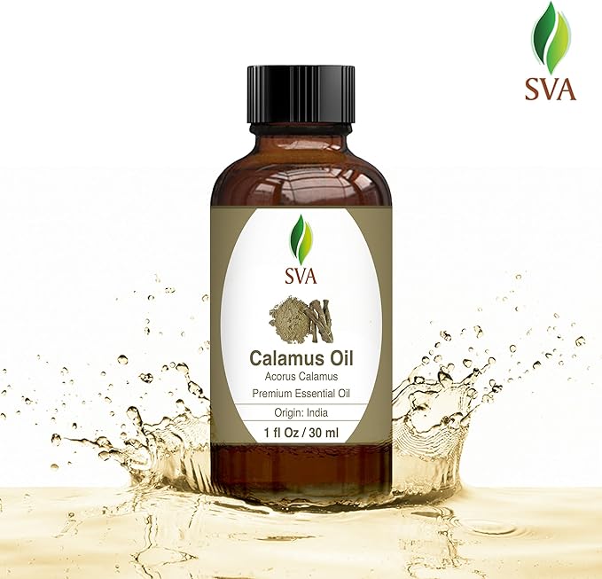 SVA Calamus Essential Oil – 1 Fl Oz – 100% Natural Calamus Oil - for Diffuser, Hair Care, Face, Skin Care, Aromatherapy, Scalp and Body Massage, Soap and Candle Making – with Dropper-VivaGrace Women