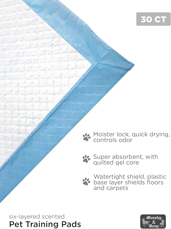 MR30 Murphy & Roxy Pet's Super Absorbent, Six-Layer, Scented Training Pads (30 Pack), Blue-VivaGrace Women