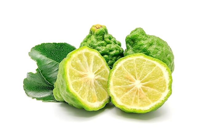 US Organic 100% Pure Bergamot Essential Oil, USDA Certified Organic, Cold Pressed, with Euro droppers (More Size Variations Available) (10 ml / .33 fl oz)-VivaGrace Women