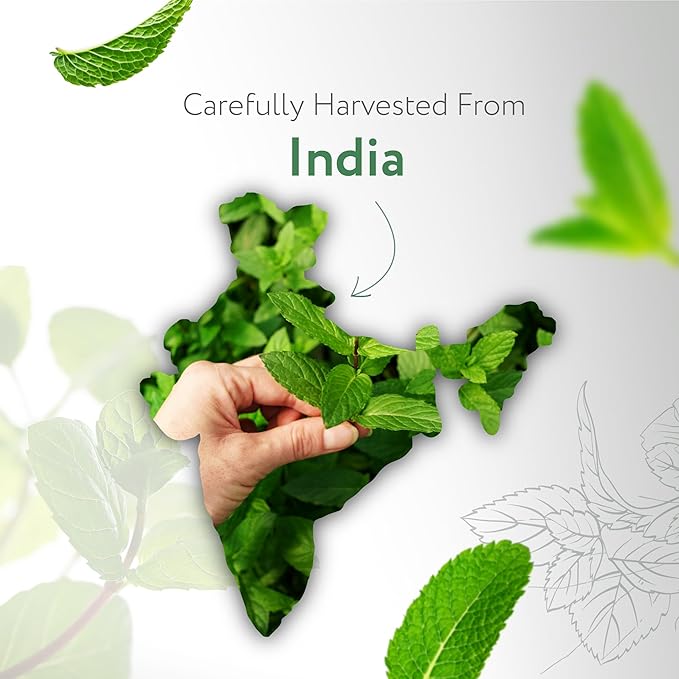 HBNO California Bottled Peppermint Essential Oil 4 fl oz (120ml) - Premium Grade Natural Peppermint Oil for Hair, Skin & Scalp Care - Ideal for Masage, Diffusers & Aromatherapy - with Glass Dropper-VivaGrace Women