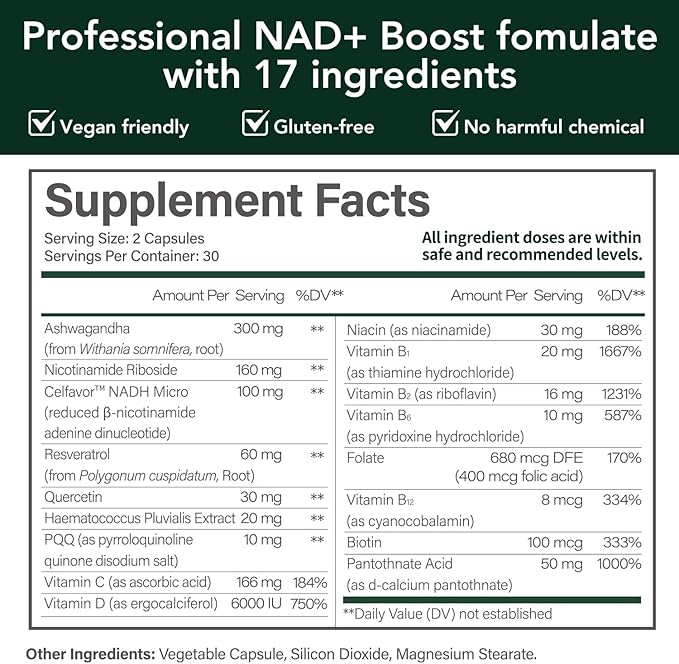 CELFULL NADH Supplement NAD+ with Resveratrol,Nicotinamide Riboside,NAD+ Boosting Supplement for Anti Aging Cellular Energy &Stamina-2Pack-VivaGrace Women