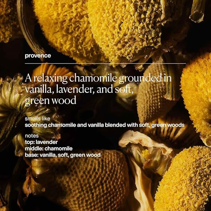 evolvetogether Lip Balm for Women & Men | Plant-Powered Hydration with Calming Lavender | Multi-Use Stick for Lips, Cuticles, Cheeks | Cruelty-Free, Paraben-Free | Made in USA (Provence, 1 Oz)-VivaGrace Women