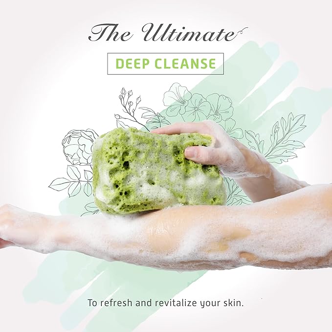Spongentle Deep Cleansing Dual Texture Body Loofah Sponge, Vacuum Sealed, for Bath and Shower, for Gentle and Deep Exfoliation, Generous and Rich Lather, (Pack of 3)-VivaGrace Women