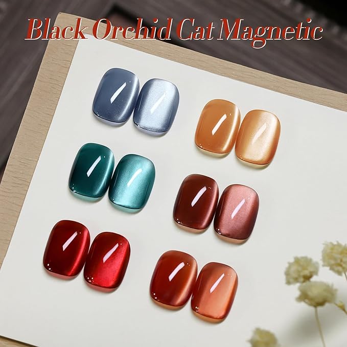 BORN PRETTY Magnetic Gel Nail Polish Water Light Cat Magnetic Eye Gel Black Orchid Jelly Glass Crystal Magnetic Gel Polish Glitter Shimmer Auroras Magnetic Gel Nail Art Manicure Kit 6PCS-VivaGrace Women
