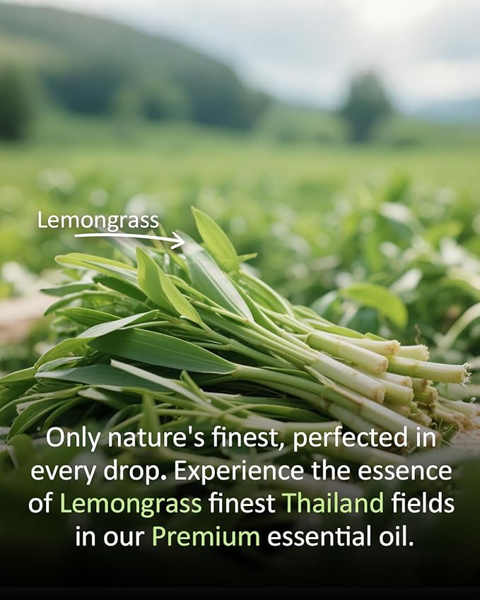 Pure Citronella Essential Oil, 100% Pure Natural Citronella Essential Oil, Premium Grade Essential Oils for Diffusers for Home, Skin, Care Massage, Soap Making, Aromatherapy, 4 Fl Oz | 120ml-VivaGrace Women