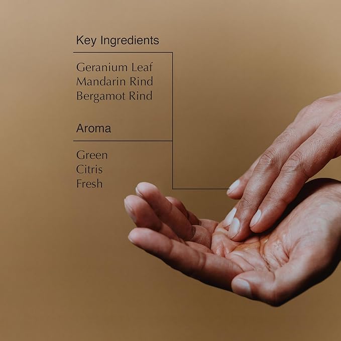 Aesop Geranium Leaf Body Cleanser - Invigorating Gentle Cleansing Gel - Green, Citrus, Fresh - 16.9 fl oz-VivaGrace Women