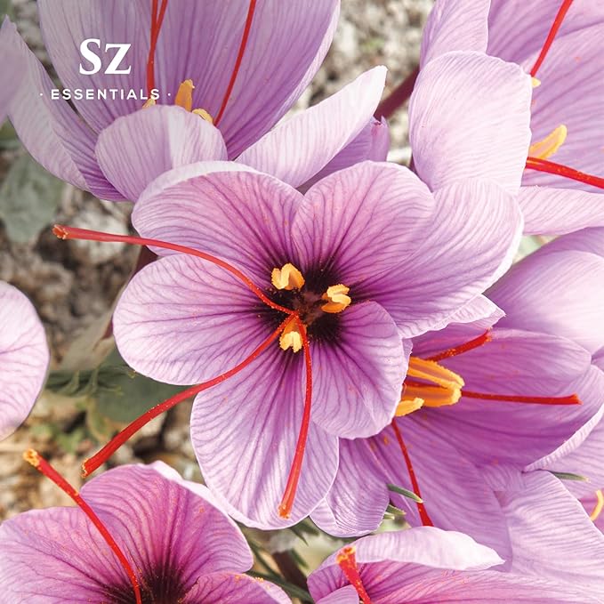 Saffron Essential Oil, 100% Pure, Extracted from Stigmas of The Saffron Flower - Spicy & Floral Scent with Earthy Overtones - Therapeutic Grade & Vegan - 0.17oz (5ml)-VivaGrace Women