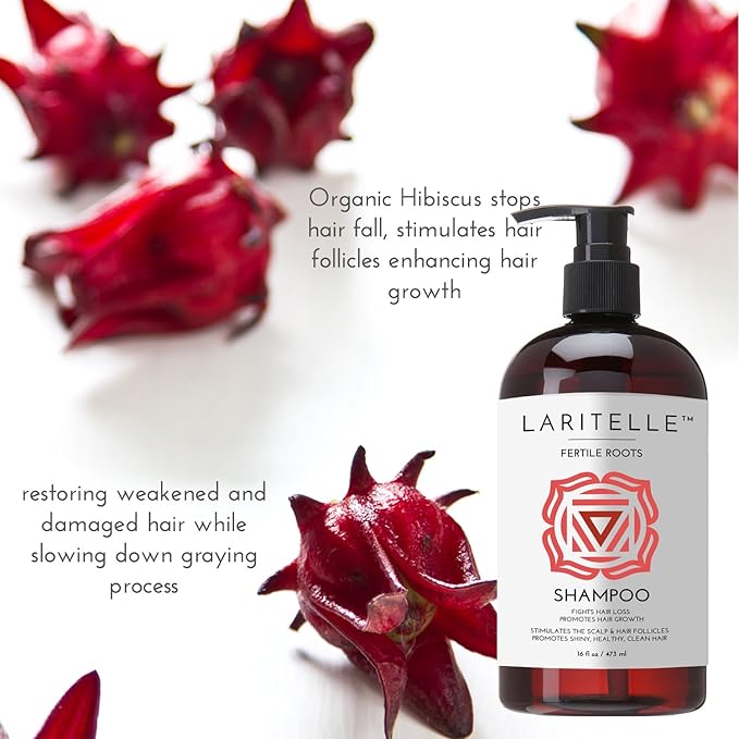 Organic Hair Growth Shampoo 17.5 oz – Fortifying & Strengthening with Ayurvedic Herbs, Lavender, Ginger, Rosemary, Patchouli, Clove – Reduces Shedding, Promotes Growth – Vegan, Made in USA-VivaGrace Women