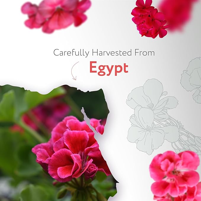 HBNO Organic Geranium Essential Oil - 1 oz (30ml) - USDA Certified Organic Geranium Essential Oil for Aromatherapy, Soap Making, DIY, Fragrances, Diffuser.-VivaGrace Women