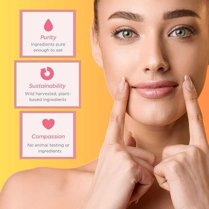 Natural Lip Butter Lip Balm - Creamsicle - Pure Enough to Eat - Made With Just 6 Vegan Ingredients - 100% Natural & Organic Moisturizing Lip Care for All Day Hydration (2-Pack)-VivaGrace Women
