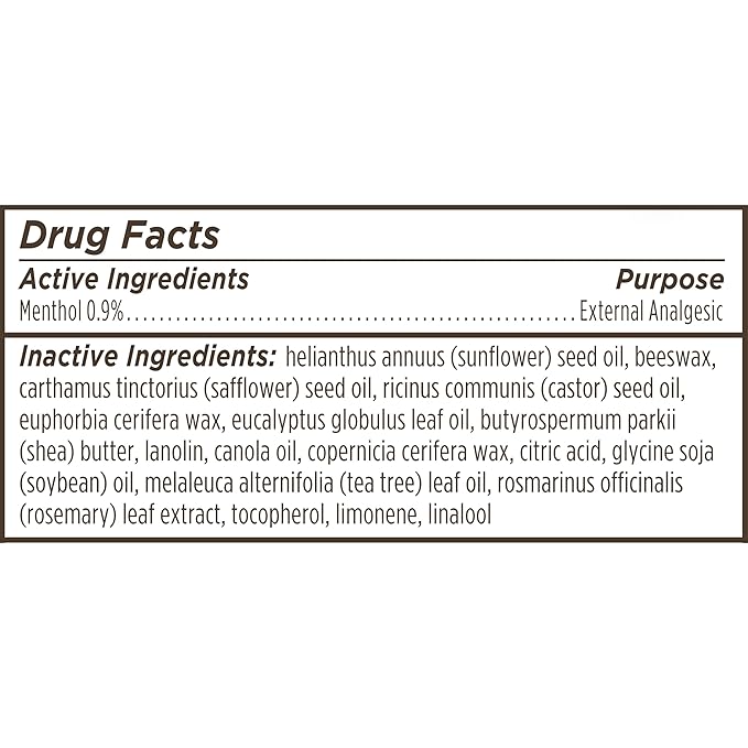 Burt's Bees Medicated Lip Balm, With Eucalyptus Oil and Menthol, Tint-Free, Natural Origin Lip Care, 4 Tubes, 0.15 oz.-VivaGrace Women