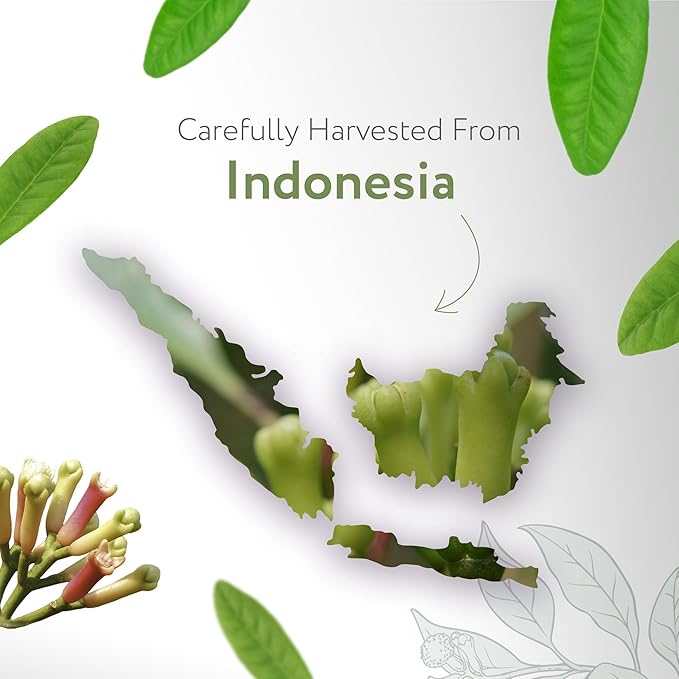 HBNO California Bottled Clove Leaf Essential Oil 4 fl oz (120ml) Value Size - Natural Clove Leaf Oil - Perfect for Cleaning, Aromatherapy, DIY, Soap & Diffuser-VivaGrace Women