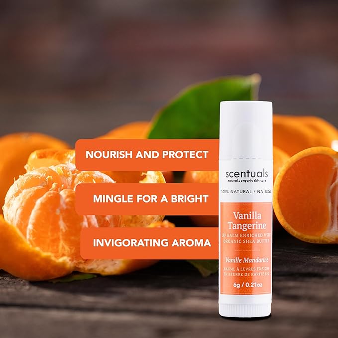 Lip Balm Vanilla Tangerine Set of 3, Made with Shea Butter, Cocoa Butter, Avocado & Jojoba oil, Beeswax, Vitamin E and Essential oil, Moisturizing Lip Care, Cruelty Free Hydration, Natural (3 Pack)-VivaGrace Women