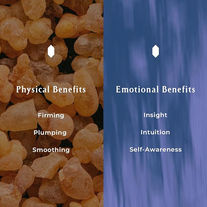 INNA Organic Lip Serum, Moisturizing, Fine Line Care & 100% Vegan, EWG & COSMOS Certified | Frankincense Essential Oils Infused Skin Care | Luxury Clean Beauty-VivaGrace Women